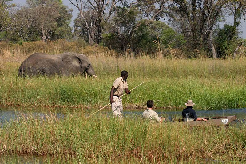 Mokoro on a quiet Khwai channel